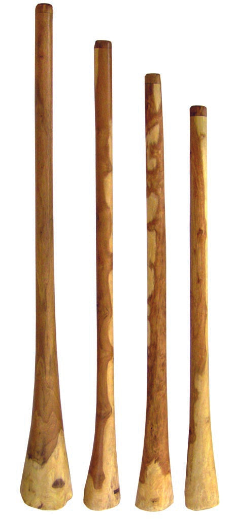 Eucalyptus Didgeridoo No. 403 - Positive Vibrations - Didgeridoo & More