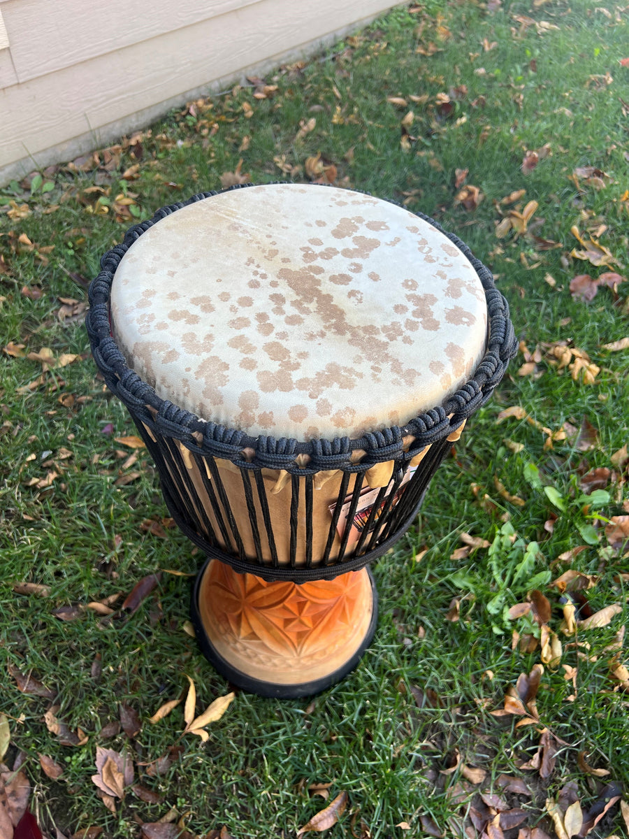 New Djembe Master Mali Style carv, 24" tall, 12" head Terre.USA