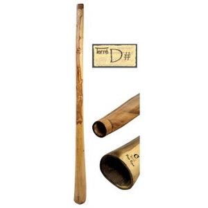 Didgeridoo Eucalyptus Proline, incl Bag 59 inch (Tone Dis)