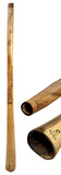 Didgeridoo Eucalyptus Proline, incl Bag 59 inch (Tone Cis)