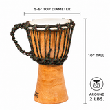 Terre Djembe Handmade Drum 10" Tall 5-6" Head Mahogany Wood Goat Skin