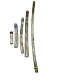 Chilean Rain Stick Rain Maker Cactus  (40 inch, Large)