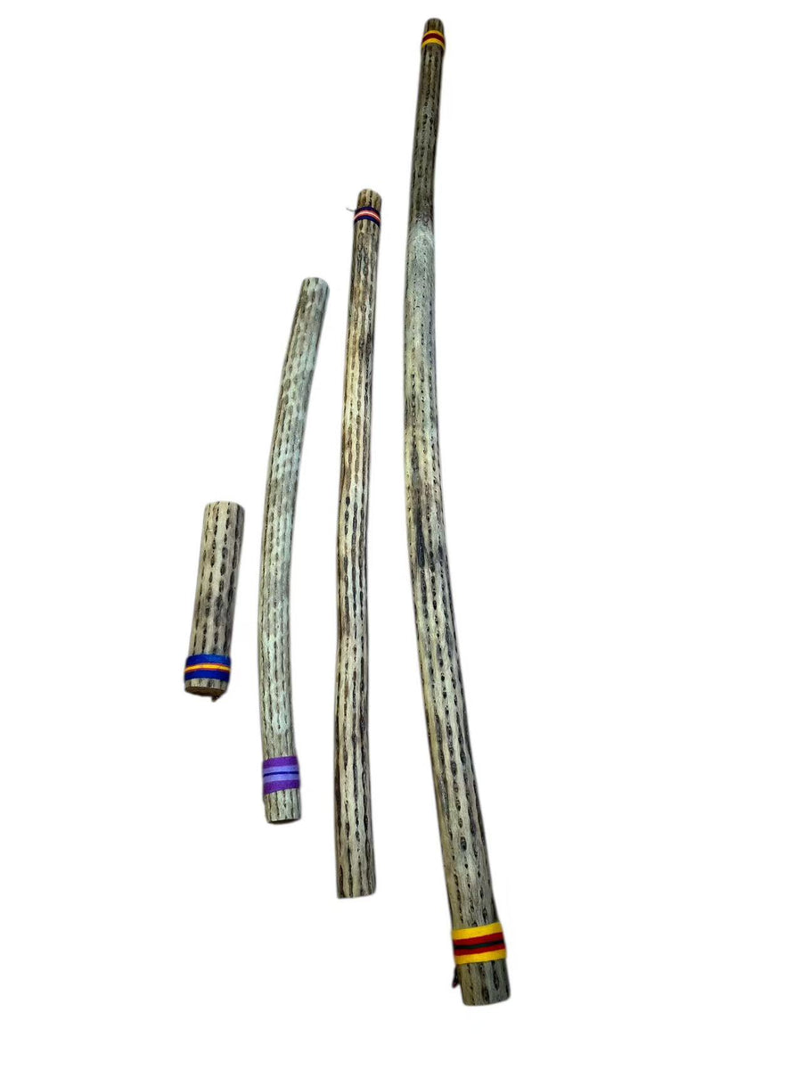 Chilean Rain Stick Rain Maker Cactus (20 inch, Small) – Terre.USA