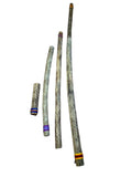 Chilean Rain Stick Rain Maker Cactus (10 inch, Small)