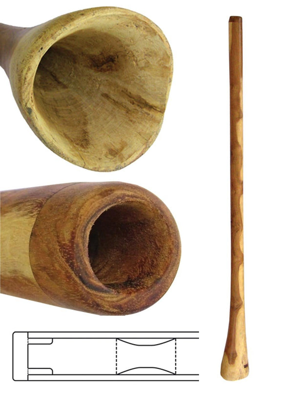 Didgeridoo Eucalyptus 59 inch