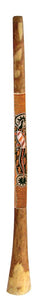 Didgeridoo Eucalyptus Paint 60 inch