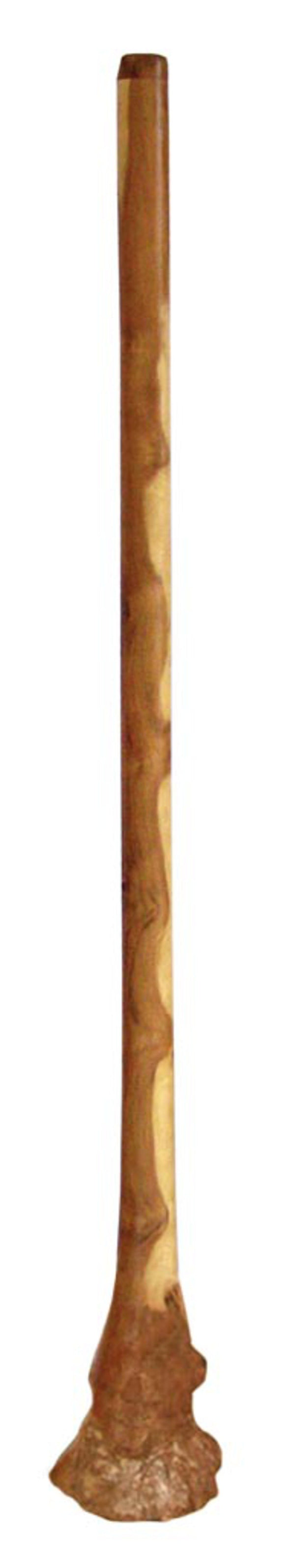 Didgeridoo Eucalyptus Root 60 inch