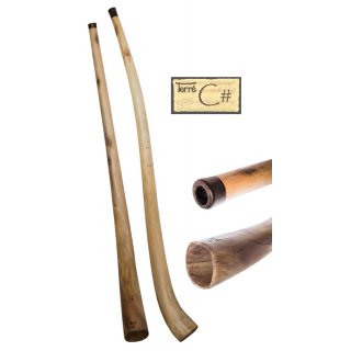 Hibiscus Didgeridoo 66-71 inch with bag Cis