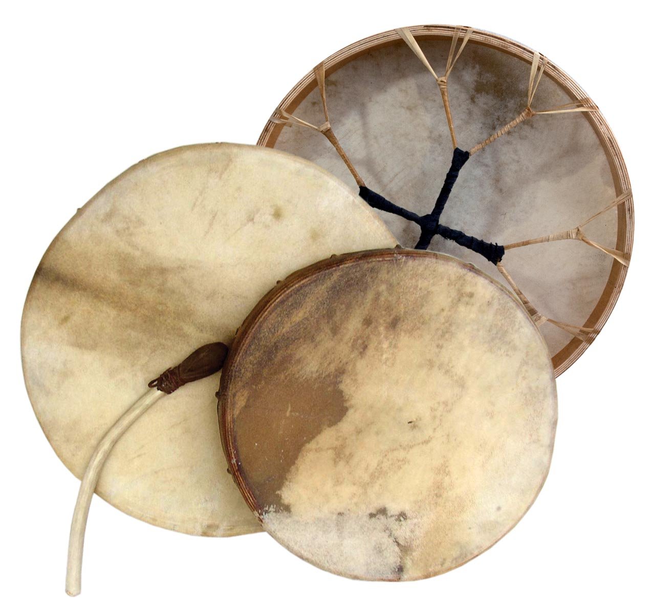 Frame Drum With Jingles Remo Riq Tambourine - 9 Inch Layne Redmond